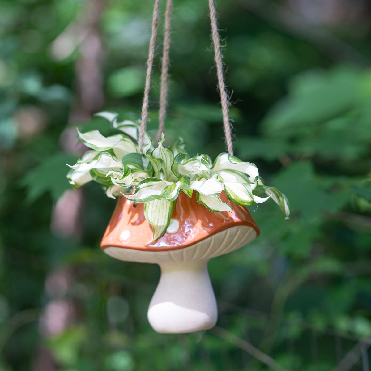 Planter, Ceramic, Hanging Orange Mushroom