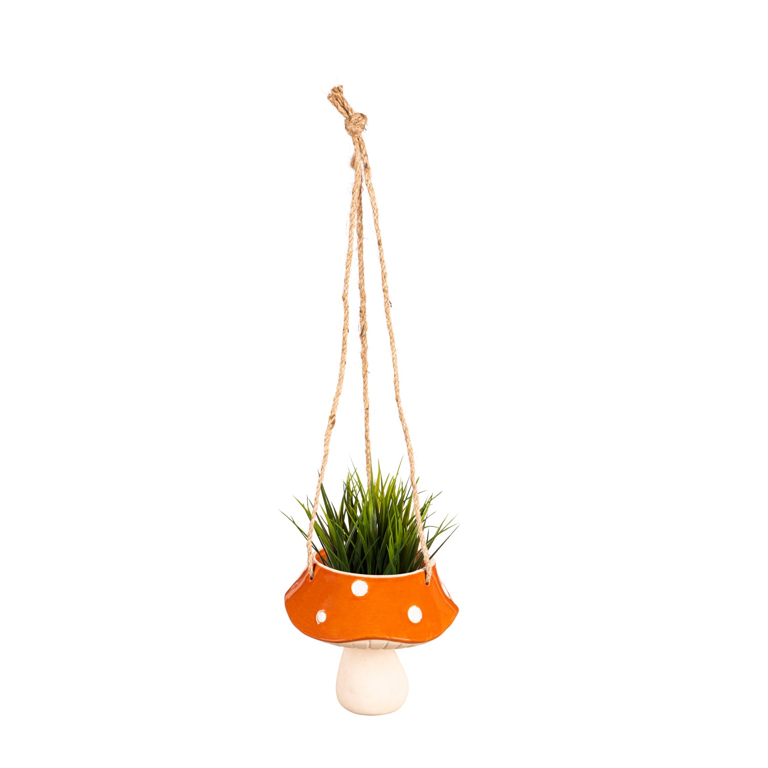 scythian dracaena Dracaena Warneckii Multi-Stem - Dragon Plant
