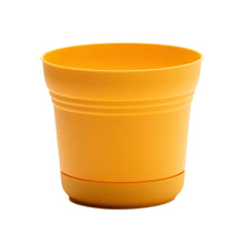 Load image into Gallery viewer, Pot, 5in, Saturn with Saucer, Earthy Yellow
