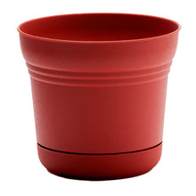 Load image into Gallery viewer, Pot, 10in, Saturn with Saucer, Burnt Red
