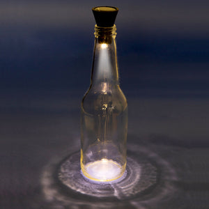 Solar Bottle Light