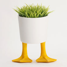 Load image into Gallery viewer, Pot, 4in, Ceramic, Duck Feet
