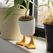 Load image into Gallery viewer, Pot, 4in, Ceramic, Duck Feet
