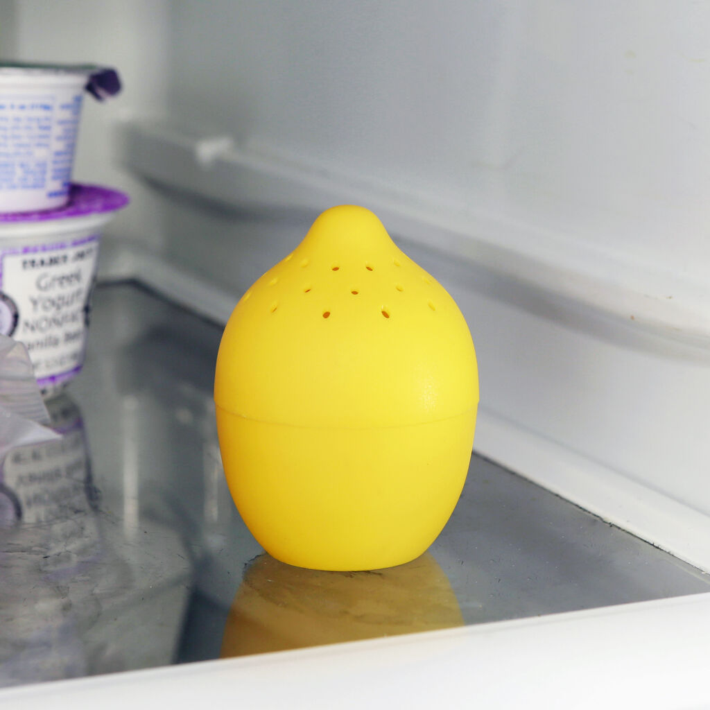 Lemon & Lime Fridge & Freezer Fresheners