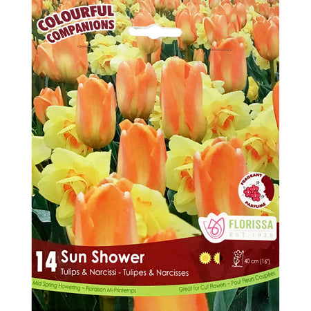 Colourful Companions - Sun Shower Bulbs, 14 Pk