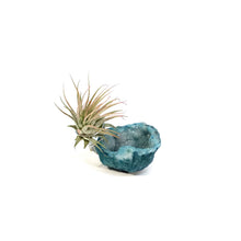 Load image into Gallery viewer, Tillandsia Ionantha Mounted on Rainbow Geode
