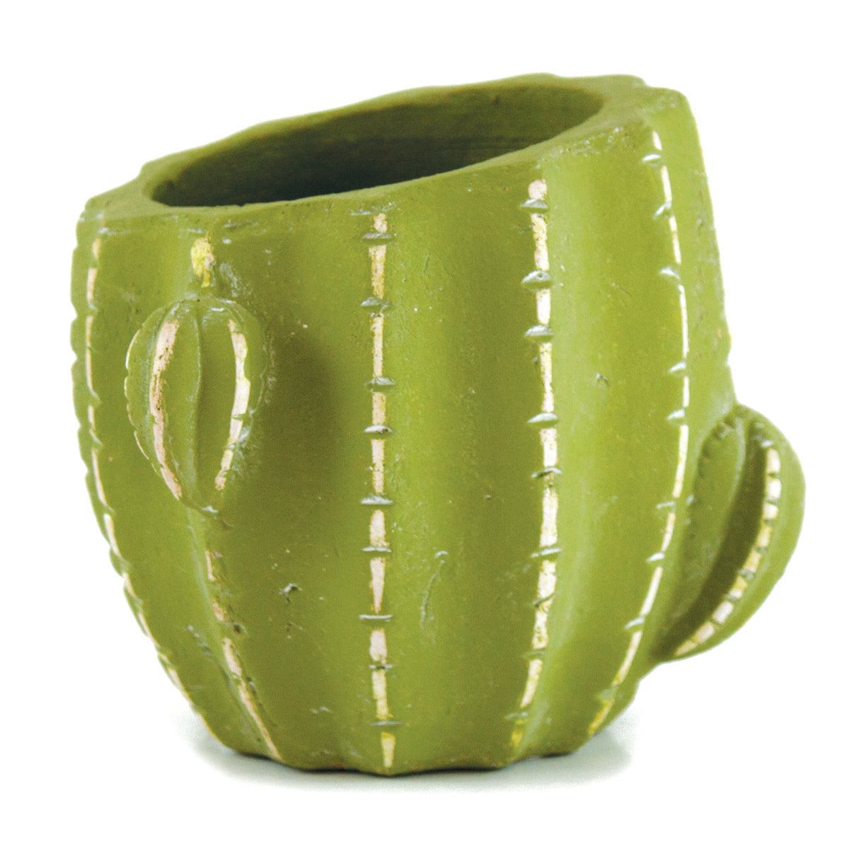 6in Cement Cactus Pot