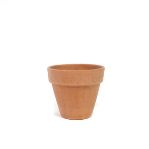 Pot,  Garden Standard 11cm