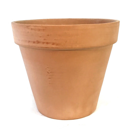 Pot, Garden Standard 31cm