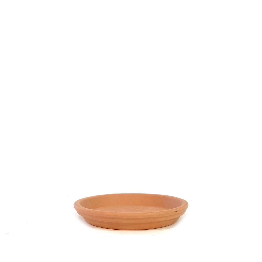 Saucer, 15cm, Garden