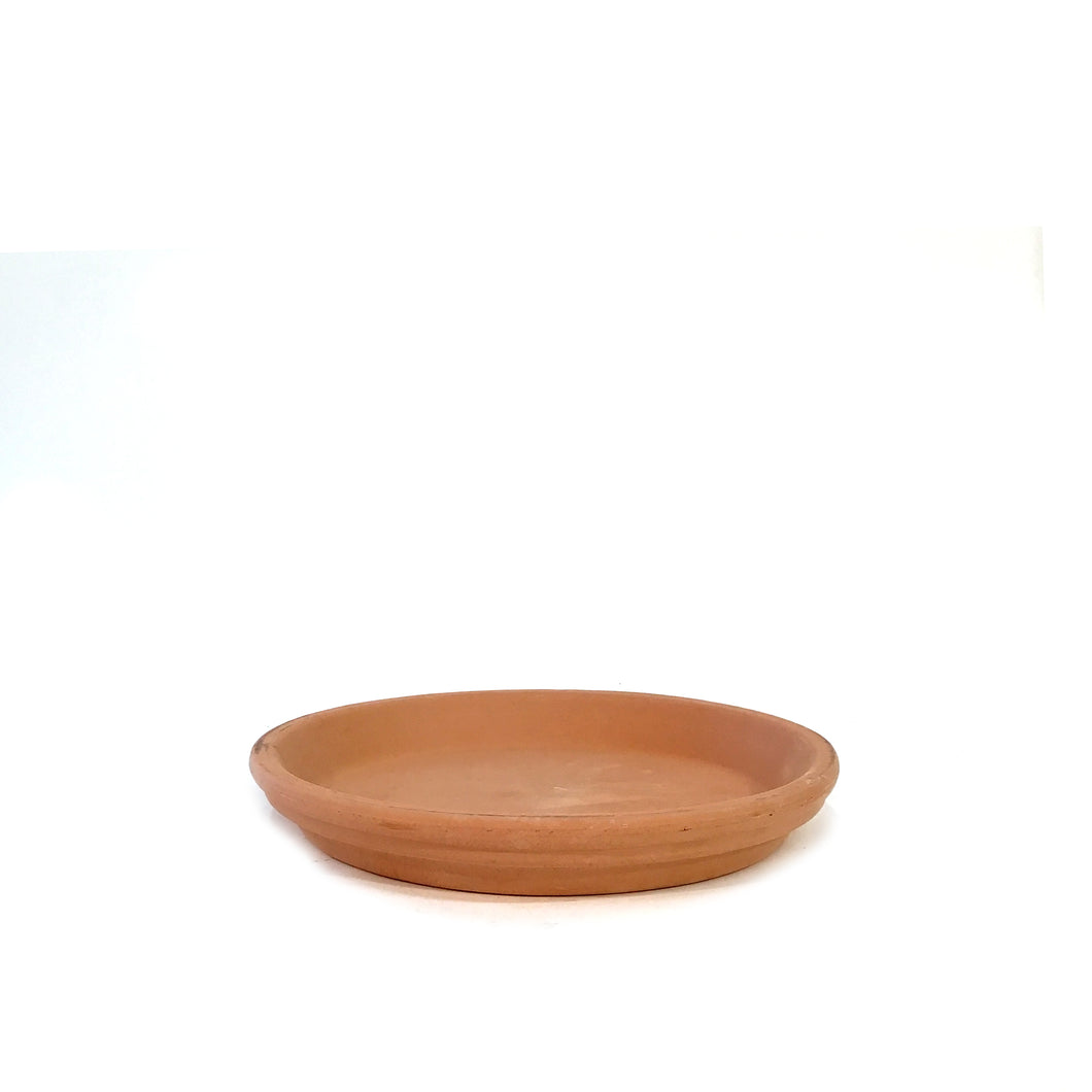 Saucer, 21cm,Garden