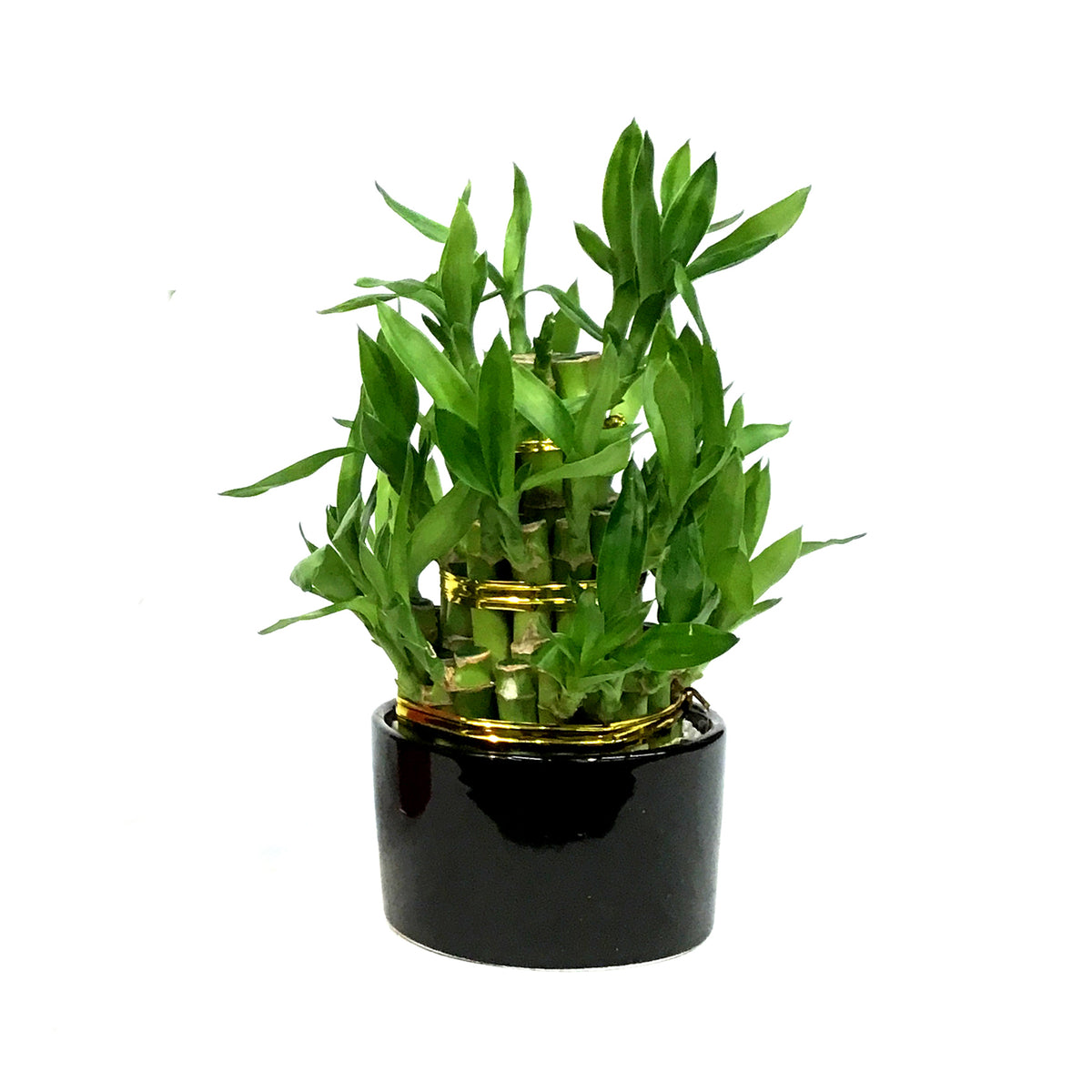 Bamboo Planter, Lucky Pagoda, 3-Tier, 4in