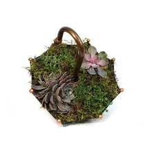 Load image into Gallery viewer, Succulent Umbrella 12 IN
