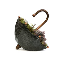 Load image into Gallery viewer, Succulent Umbrella 12 IN
