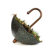 Load image into Gallery viewer, Succulent Umbrella 12 IN
