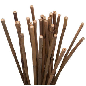 Holland Greenhouse Bamboo Stakes, 3ft, 25 pack