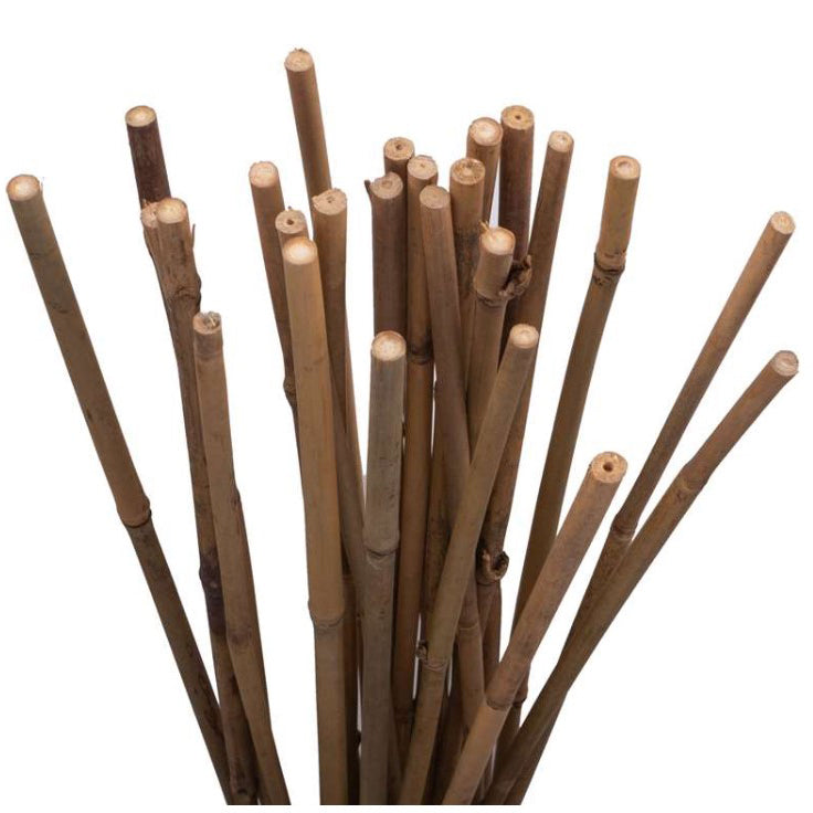 Holland Greenhouse Bamboo Stakes, 5ft, 25 pack