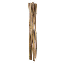 Load image into Gallery viewer, Holland Greenhouse Bamboo Stakes, 3ft, 25 pack
