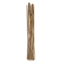 Load image into Gallery viewer, Holland Greenhouse Bamboo Stakes, 5ft, 25 pack
