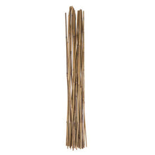 Load image into Gallery viewer, Holland Greenhouse Bamboo Stakes, 5ft, 12 pack
