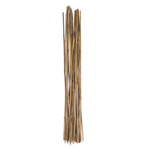 Holland Greenhouse Bamboo Stakes, 5ft, 25 pack