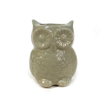 Load image into Gallery viewer, Stoneware Owl Vase with Magnet, 4 Asst
