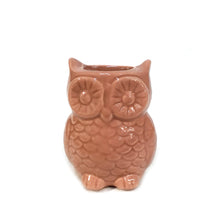 Load image into Gallery viewer, Stoneware Owl Vase with Magnet, 4 Asst
