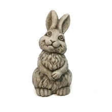 Load image into Gallery viewer, Rabbit Caper Statue, 10in
