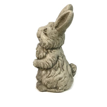 Load image into Gallery viewer, Rabbit Caper Statue, 10in
