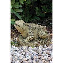 Load image into Gallery viewer, Large Frog Plumbed Statue
