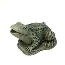 Load image into Gallery viewer, Large Frog Plumbed Statue
