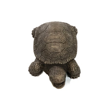 Load image into Gallery viewer, Medium Turtle Plumbed Statue
