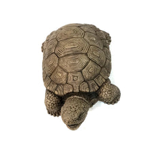 Load image into Gallery viewer, Large Turtle Plumbed Statue
