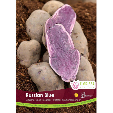 Seed Potato - Gourmet Russian Blue, 500g Bag