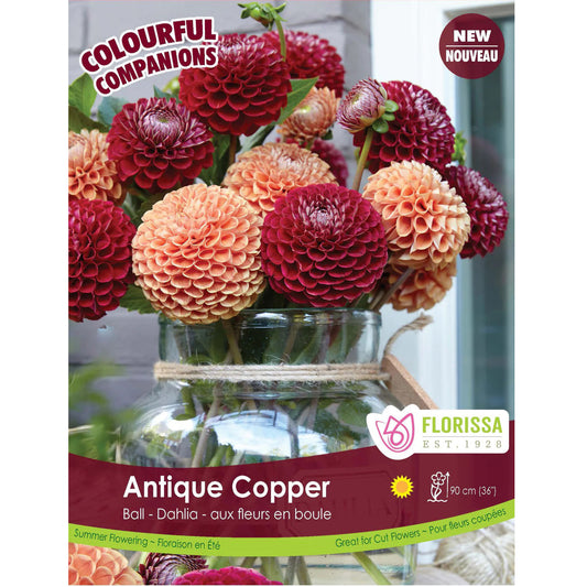 Dahlia Ball - Antique Copper Bulbs, 3pk