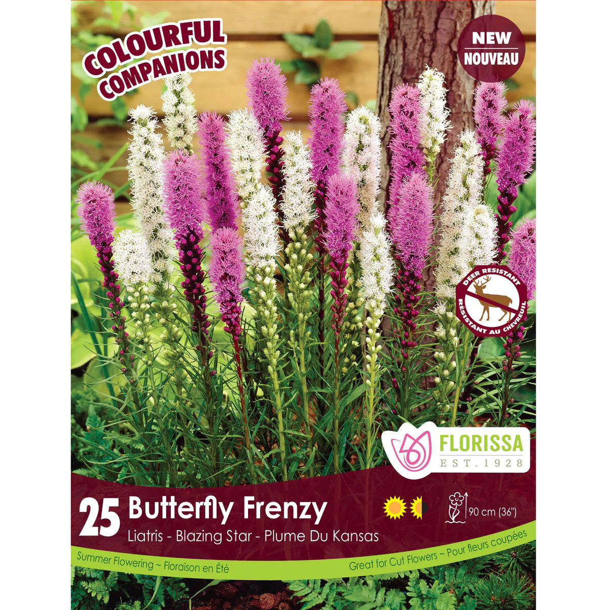 Colourful Companions Butterfly Frenzy Bulbs, 25pk