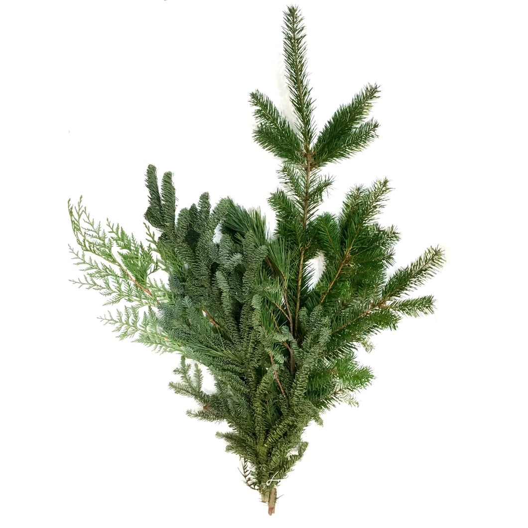 Boughs, Mix (Cedar, Silver Fir, Pine)