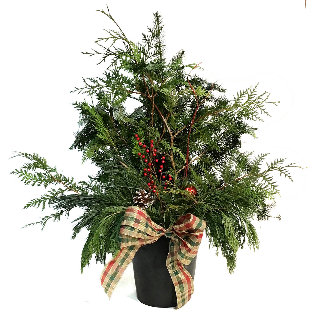 Custom Christmas Planter, 10in, Black Pot