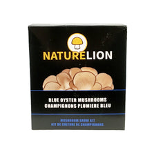 Load image into Gallery viewer, Nature Lion Blue Oyster Mushroom Growing Kit
