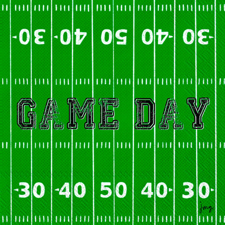 Paper Cocktail Napkin, 20 Count, Game Day Field