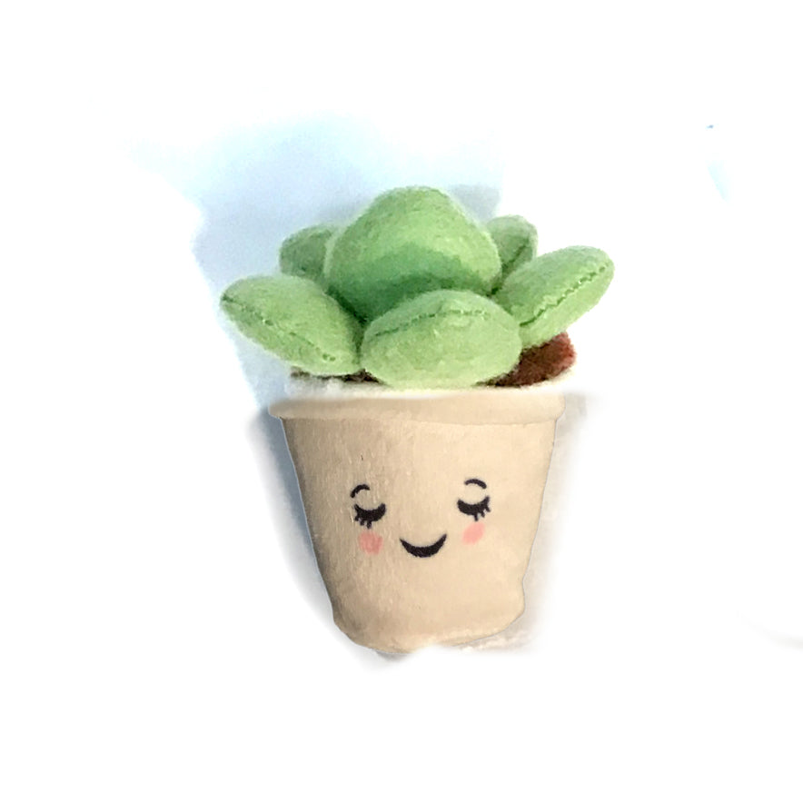 Mini Potted Succulent Plushies, 3 Asst