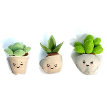 Load image into Gallery viewer, Mini Potted Succulent Plushies, 3 Asst
