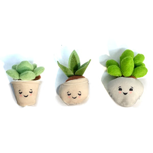 Mini Potted Succulent Plushies, 3 Asst