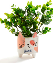 Load image into Gallery viewer, Cat Planter, 2 Asst
