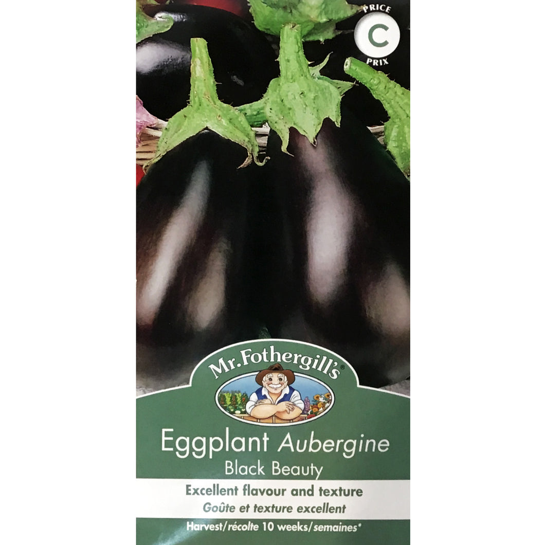 Eggplant - Black Beauty Seeds, FG