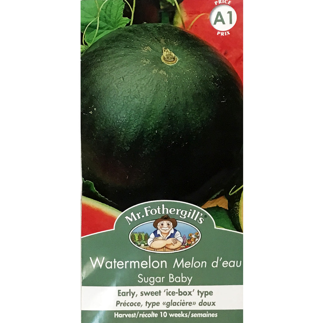Watermelon - Sugar Baby Seeds,FG
