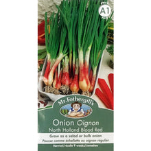 Load image into Gallery viewer, Onion -North Holland  Seeds, Mr Fothergill&#39;s
