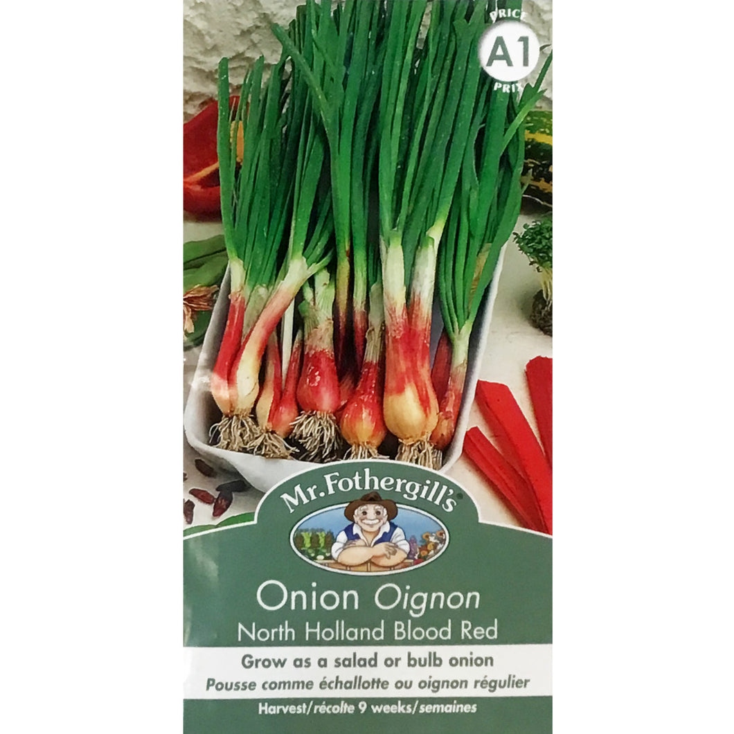 Onion -North Holland  Seeds, Mr Fothergill's