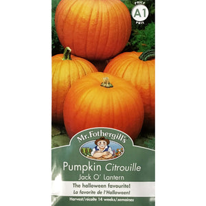 SEEDS- Pumpkin Jack O' Lantern, Mr Fothergill's