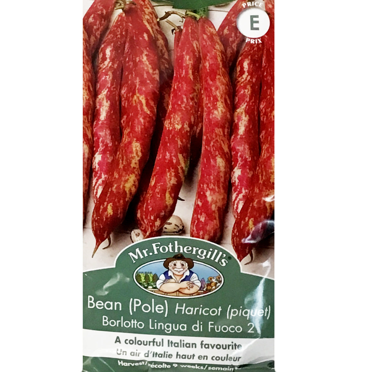 Bean Pole - Borlotto Lingua di F, Mr Fothergill's
